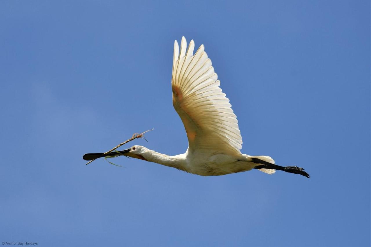 Spoonbill Cottage Файли Экстерьер фото